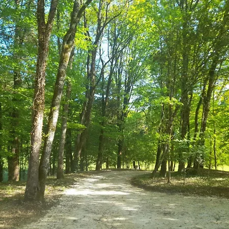 La Colombelle Carsac-Aillac